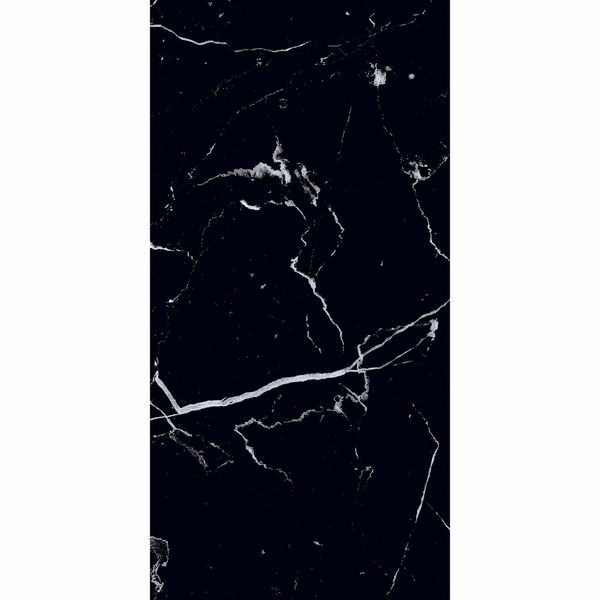 Genava Black Gloss Porcelain Wall & Floor Tile 300X600mm